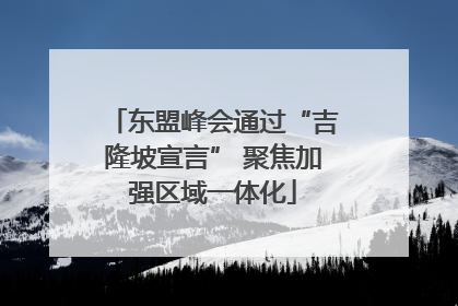 东盟峰会通过“吉隆坡宣言” 聚焦加强区域一体化