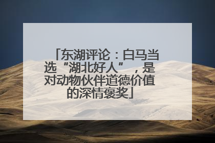 东湖评论：白马当选“湖北好人”，是对动物伙伴道德价值的深情褒奖