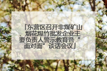东营区召开非煤矿山、烟花爆竹批发企业主要负责人警示教育暨“面对面”谈话会议