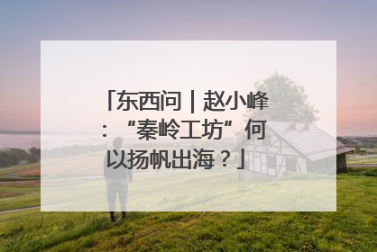 东西问｜赵小峰：“秦岭工坊”何以扬帆出海？