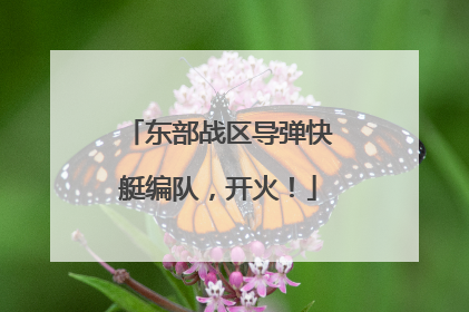 东部战区导弹快艇编队，开火！