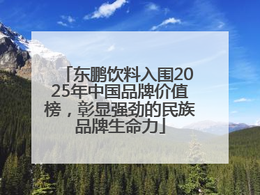 东鹏饮料入围2025年中国品牌价值榜，彰显强劲的民族品牌生命力