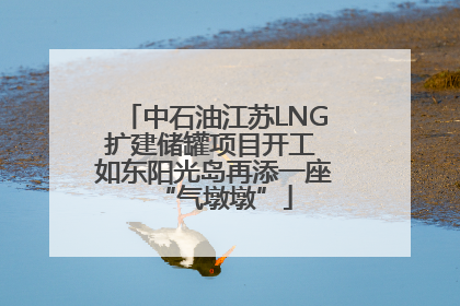 中石油江苏LNG扩建储罐项目开工 如东阳光岛再添一座“气墩墩”