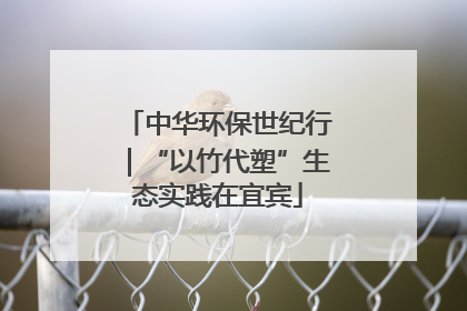 中华环保世纪行｜“以竹代塑”生态实践在宜宾