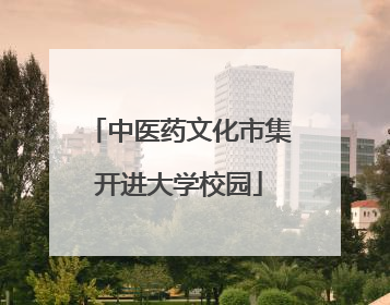 中医药文化市集开进大学校园