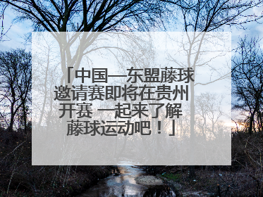 中国—东盟藤球邀请赛即将在贵州开赛 一起来了解藤球运动吧！