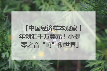中国经济样本观察丨年创汇千万美元！小提琴之音“响”彻世界
