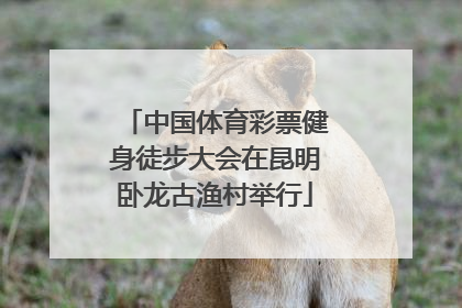 中国体育彩票健身徒步大会在昆明卧龙古渔村举行