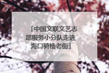中国文联文艺志愿服务小分队走进海口骑楼老街