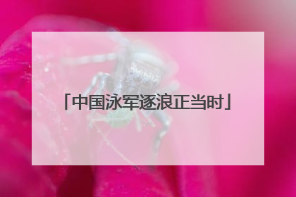 中国泳军逐浪正当时