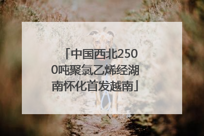 中国西北2500吨聚氯乙烯经湖南怀化首发越南