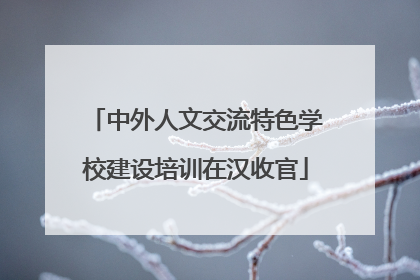 中外人文交流特色学校建设培训在汉收官
