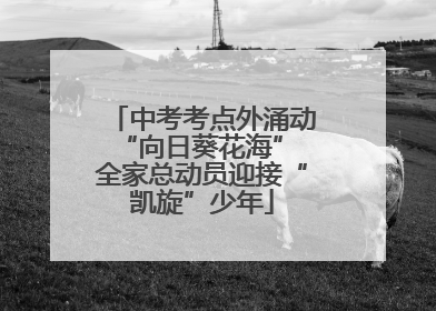 中考考点外涌动“向日葵花海” 全家总动员迎接“凯旋”少年