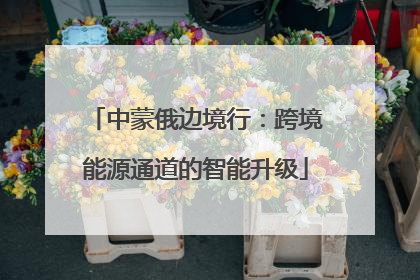 中蒙俄边境行：跨境能源通道的智能升级