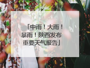 中雨！大雨！暴雨！陕西发布重要天气报告