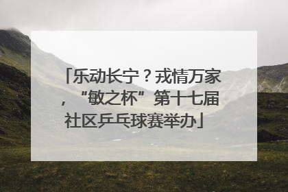 乐动长宁？戎情万家，“敏之杯”第十七届社区乒乓球赛举办