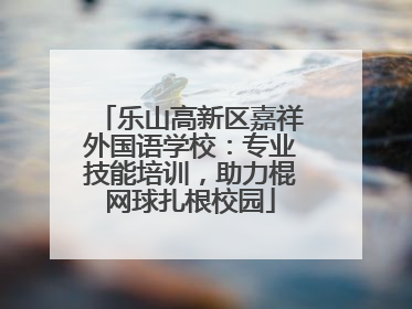 乐山高新区嘉祥外国语学校：专业技能培训，助力棍网球扎根校园