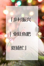 乡村振兴｜业旺鱼肥夏捕忙