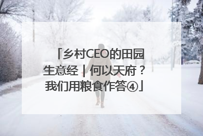 乡村CEO的田园生意经｜何以天府？我们用粮食作答④