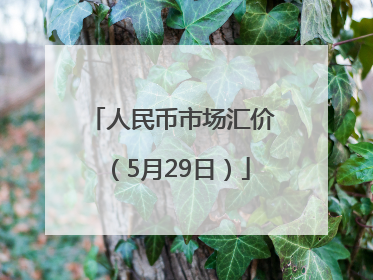 人民币市场汇价（5月29日）