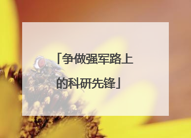 争做强军路上的科研先锋