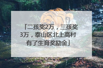 二孩奖2万，三孩奖3万，泰山区北上高村有了生育奖励金