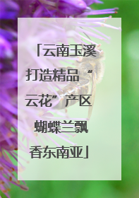 云南玉溪打造精品“云花”产区 蝴蝶兰飘香东南亚