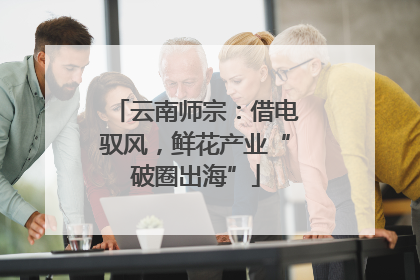 云南师宗：借电驭风，鲜花产业“破圈出海”