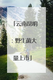 云南昆明：野生菌大量上市