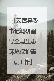 云霄县委书记调研督导全县生态环境保护重点工作
