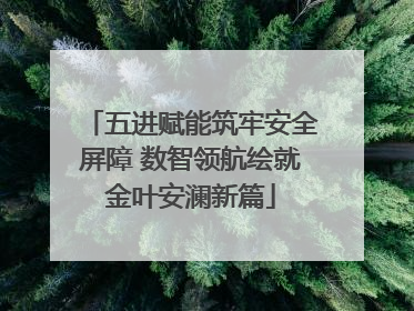 五进赋能筑牢安全屏障 数智领航绘就金叶安澜新篇