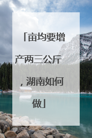 亩均要增产两三公斤，湖南如何做