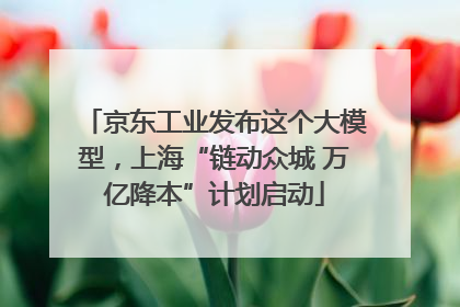 京东工业发布这个大模型，上海“链动众城 万亿降本”计划启动