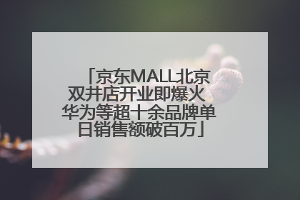 京东MALL北京双井店开业即爆火 华为等超十余品牌单日销售额破百万