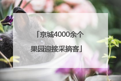 京城4000余个果园迎接采摘客