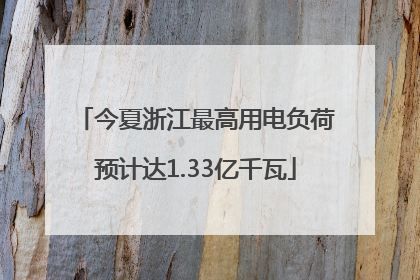 今夏浙江最高用电负荷预计达1.33亿千瓦