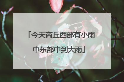 今天商丘西部有小雨 中东部中到大雨