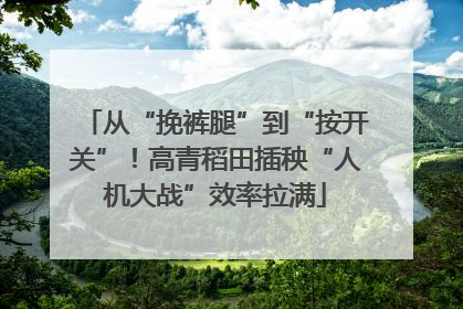 从“挽裤腿”到“按开关”！高青稻田插秧“人机大战”效率拉满