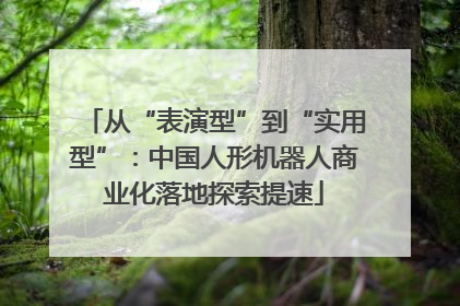 从“表演型”到“实用型”：中国人形机器人商业化落地探索提速