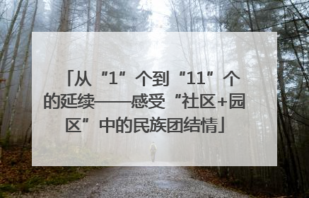 从“1”个到“11”个的延续——感受“社区+园区”中的民族团结情