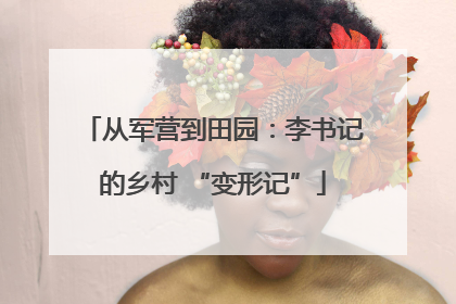 从军营到田园：李书记的乡村 “变形记”