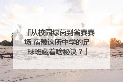 从校园绿茵到省赛赛场 宿豫这所中学的足球班藏着啥秘诀？
