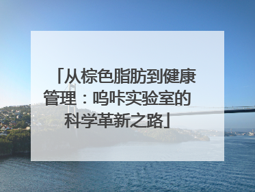 从棕色脂肪到健康管理：呜咔实验室的科学革新之路