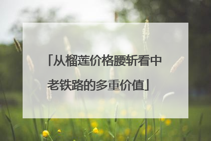 从榴莲价格腰斩看中老铁路的多重价值