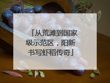 从荒滩到国家级示范区，阳新书写虾稻传奇