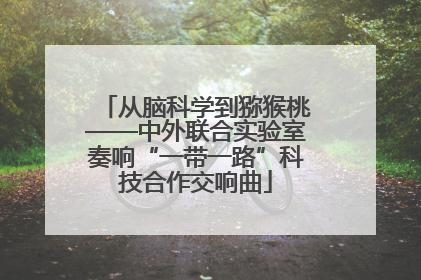 从脑科学到猕猴桃——中外联合实验室奏响“一带一路”科技合作交响曲