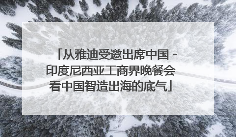 从雅迪受邀出席中国－印度尼西亚工商界晚餐会看中国智造出海的底气