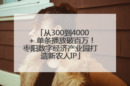 从300到4000+ 单条播放破百万！枣阳数字经济产业园打造新农人IP