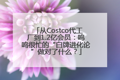 从Costco代工厂到1.2亿会员：鸣鸣很忙的“白牌进化论”做对了什么？