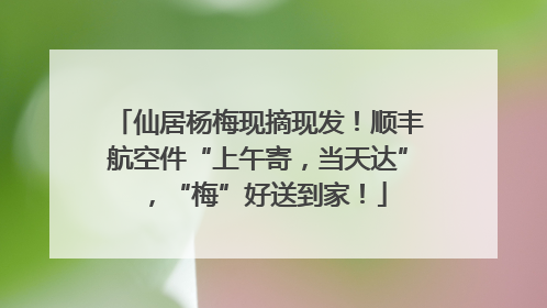 仙居杨梅现摘现发！顺丰航空件“上午寄，当天达”，“梅”好送到家！